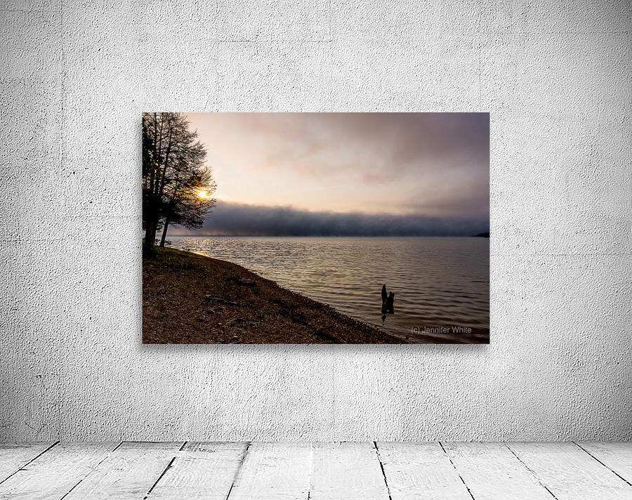 Tree Stump Snap By The Shoreline Wall Preview