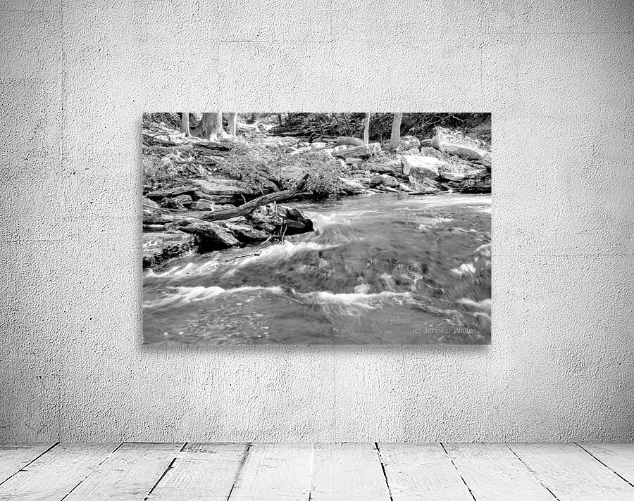 Tanyard Creek Rushing Water Grayscale Wall Preview