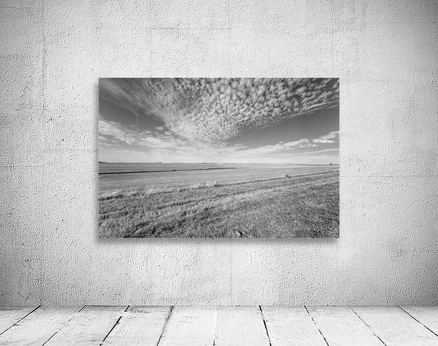 Popcorn Clouds Over Nebraska Farm Grayscale Wall Preview