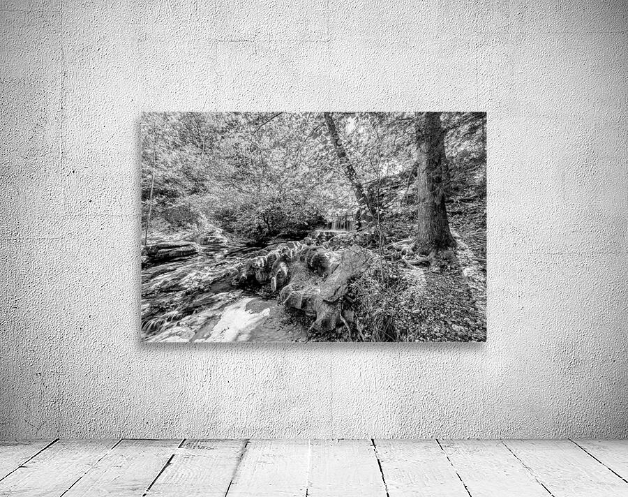 Tanyard Creek Waterfall In The Woods Grayscale Wall Preview