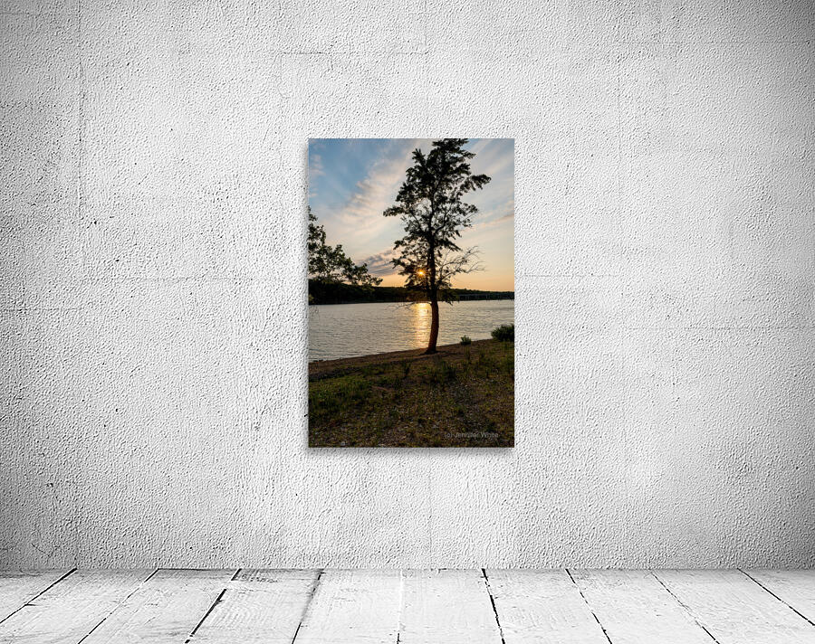 Curvy Tree Golden Sunset Wall Preview