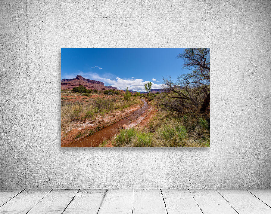 Utah Desert Hiking At Professor Creek Wall Preview