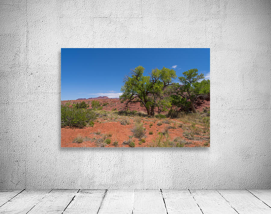 Twisted Trees Desert Landscape Wall Preview