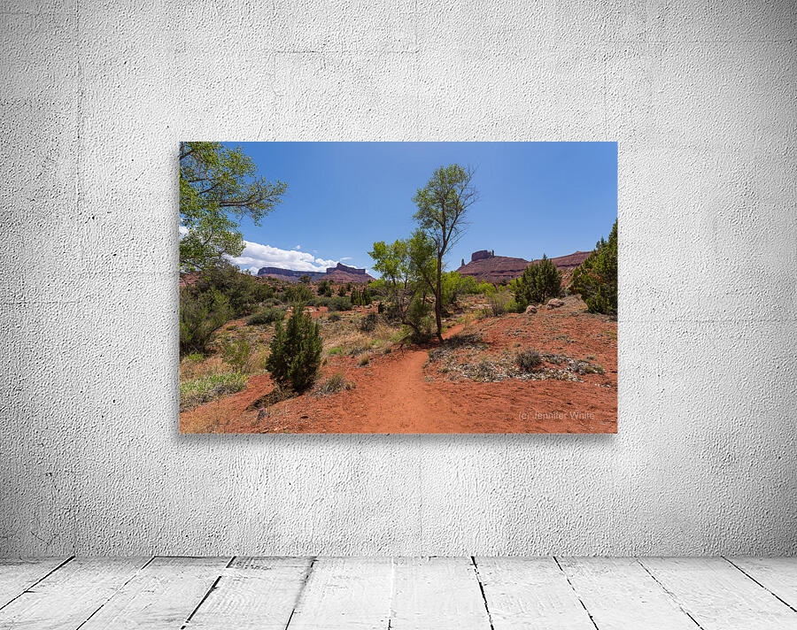 Professor Creek Utah Hiking Trail Wall Preview