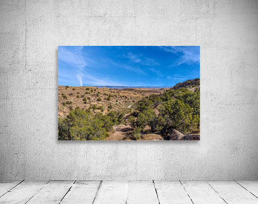 Harleys Dome Valley View Wall Preview