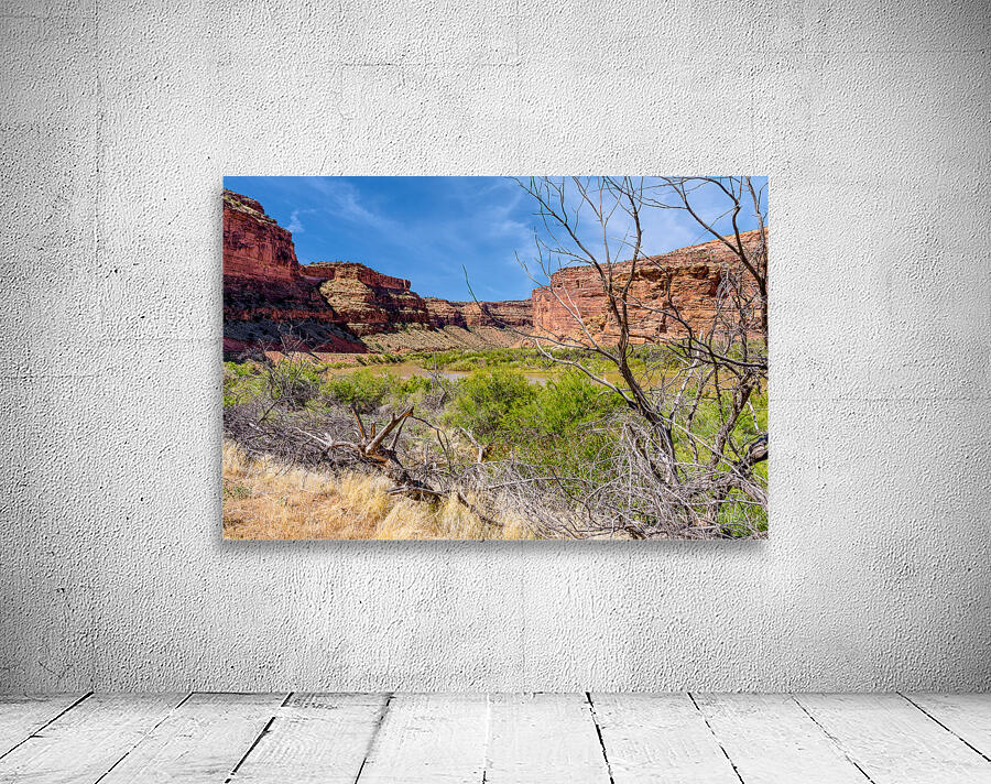 Dead Tree Colorado River Utah Wall Preview