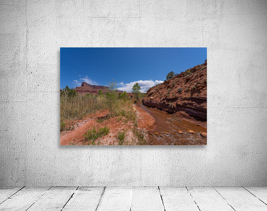 Professor Creek By A Bluff Wall Preview