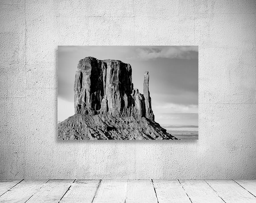 West Mitten Butte Monument Valley Grayscale Wall Preview