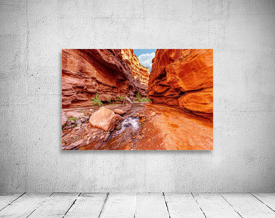 Small Waterfall Mary Jane Canyon Wall Preview