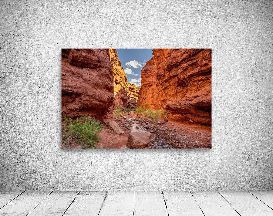 Between Mary Jane Canyon Walls Wall Preview