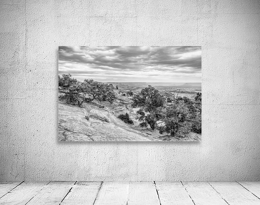 Mesa Arch Ahead Grayscale Wall Preview