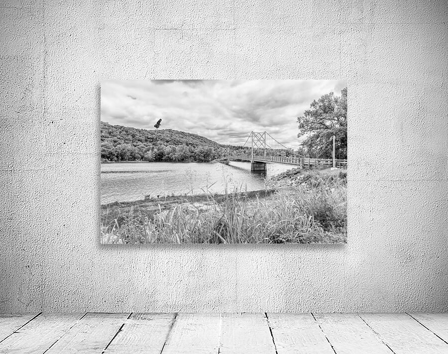 Hawk Over Little Golden Gate Grayscale Wall Preview