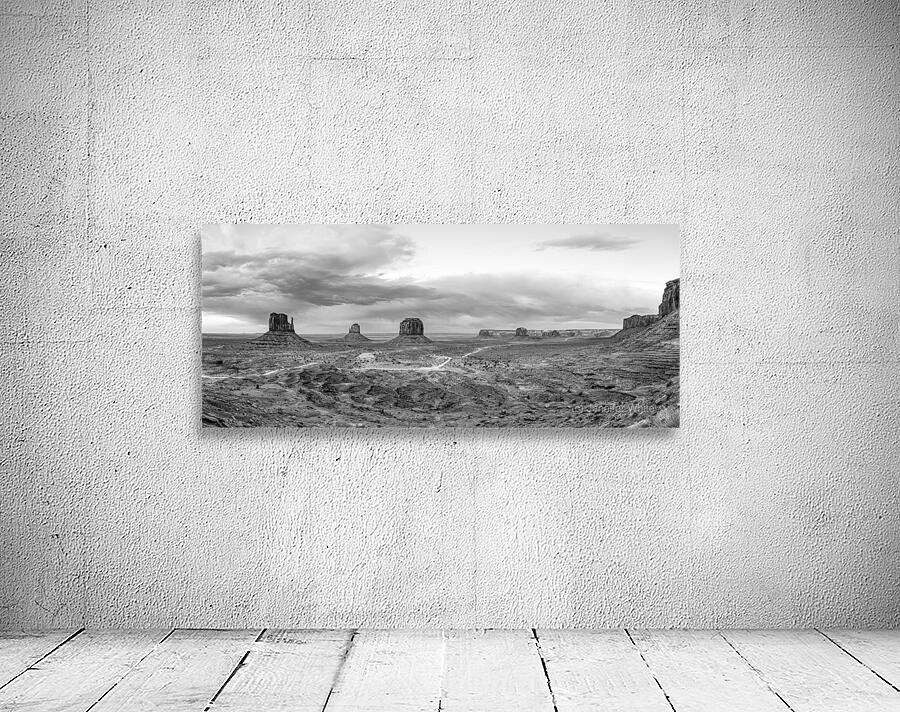 Evening At Monument Valley Pano Grayscale Wall Preview