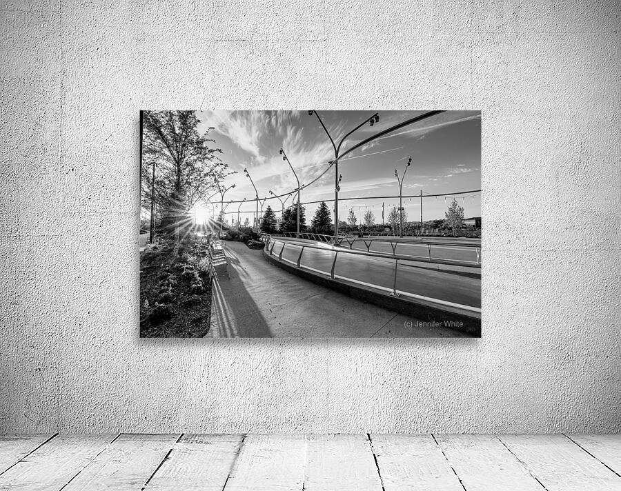 Omaha Skate Park Golden Sun Star Grayscale Wall Preview