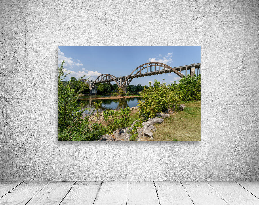 Cotter Bridge Through Bushes Wall Preview