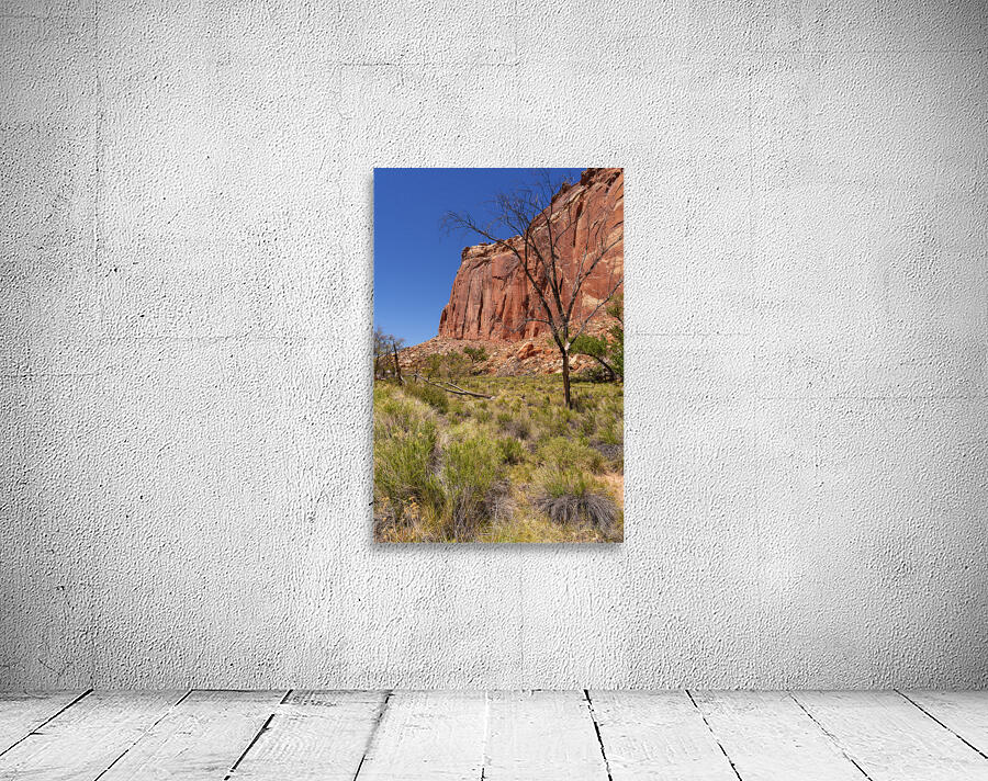 Capitol Reef Cliff View Vertical Wall Preview