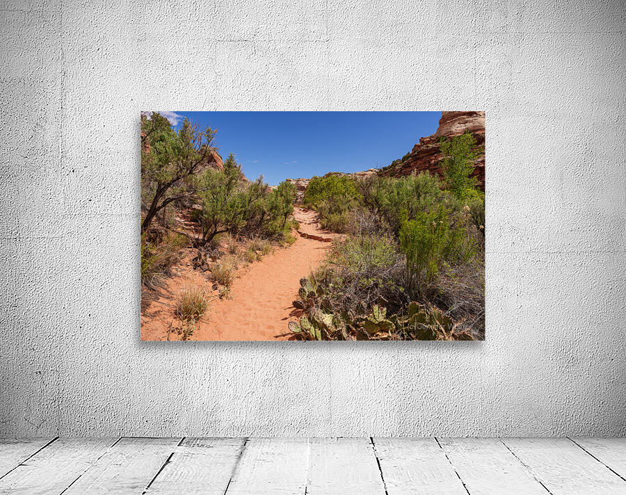 Pathway Through Grand Staircase Escalante Wall Preview