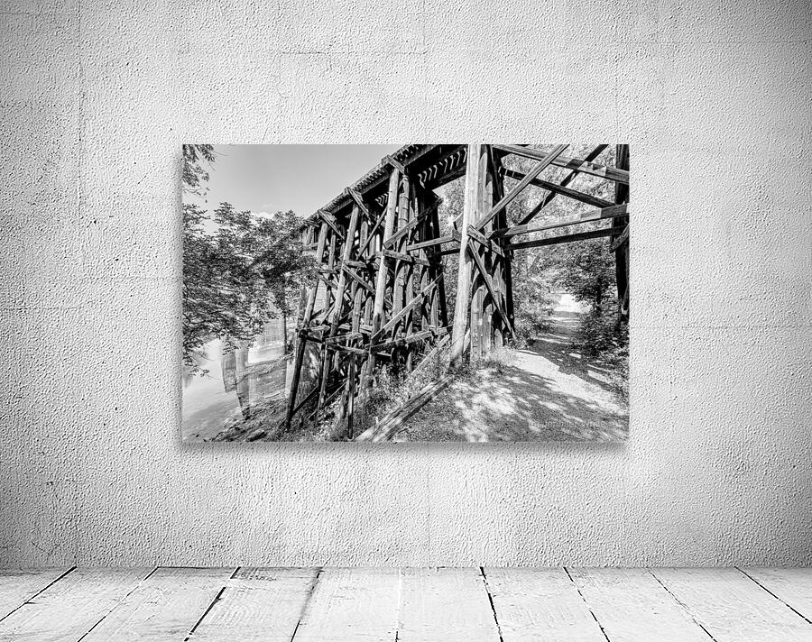 Path Under Old Railroad Bridge Grayscale Wall Preview