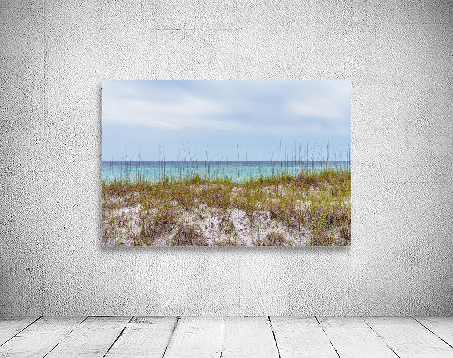 Destin Sea Oats Sand Dunes by Jennifer White Wall Art