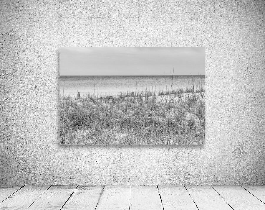 Sand Dunes And Sea Oats On Destin Beach Grayscale by Jennifer White ...