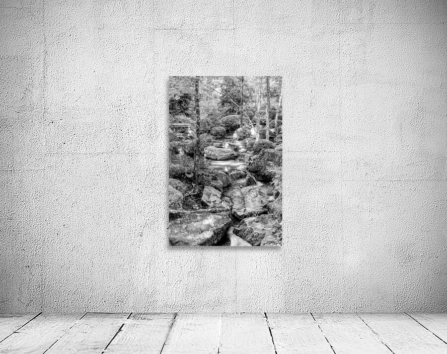 Forest Rock Garden Waterfall Grayscale Wall Preview