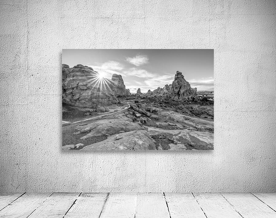 Windows Primitive Loop Sunburst Grayscale Wall Preview