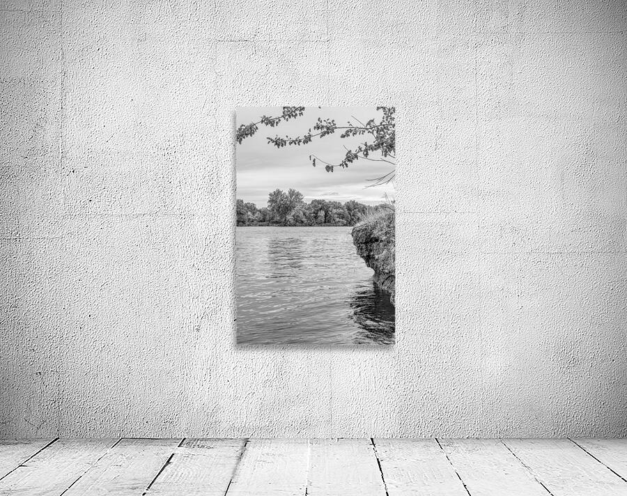 Truman Lake Autumn Whispers Grayscale Wall Preview