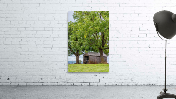 This Old Shed Wall Preview