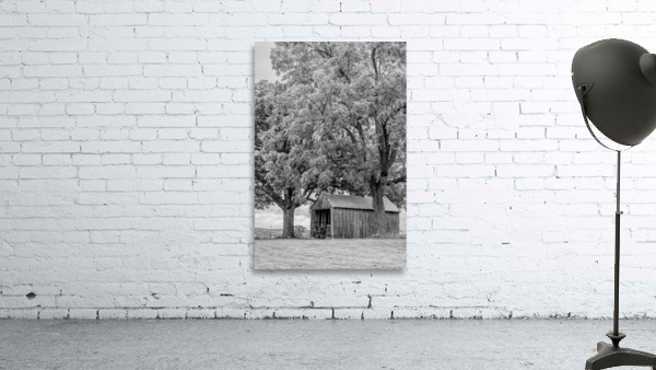 This Old Shed Grayscale Wall Preview
