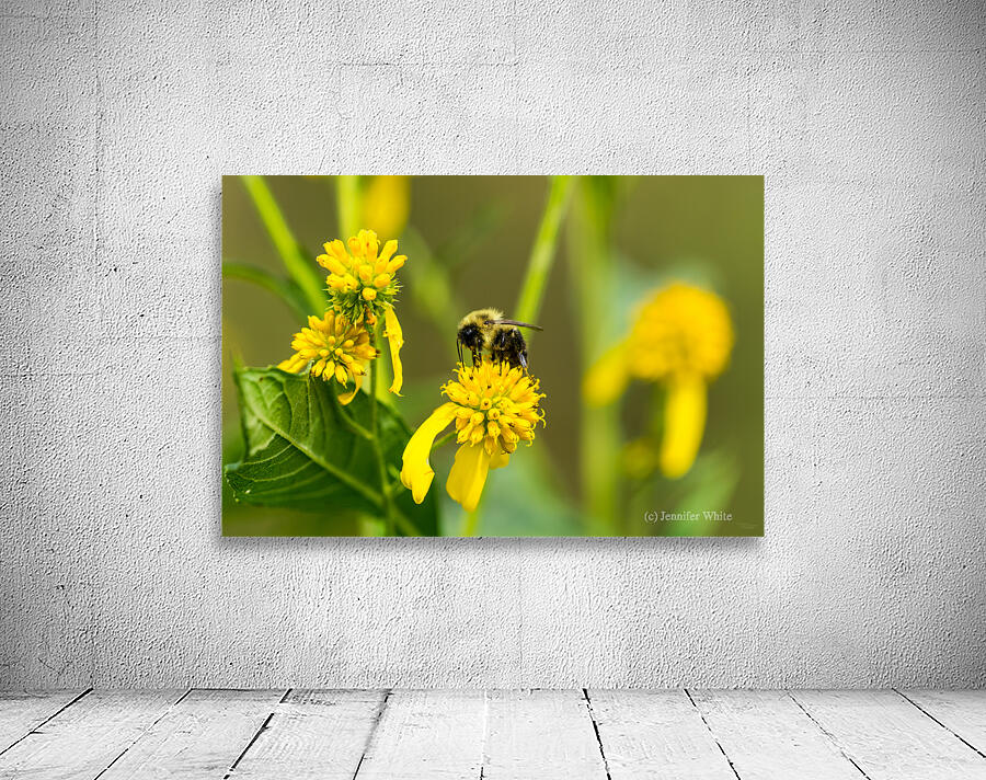 Bumblebee Wall Preview