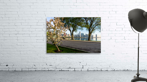 Springtime At Chicago Skyline Wall Preview