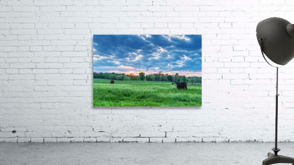 Cattle Field Farm Sunset Wall Preview