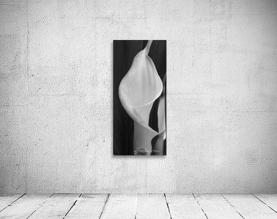 Calla Pano Grayscale Wall Preview
