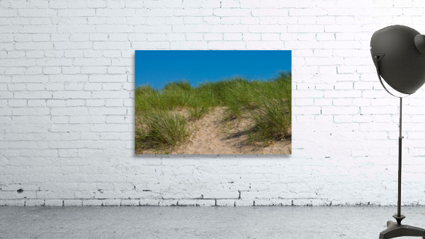 Dune And Oats Wall Preview