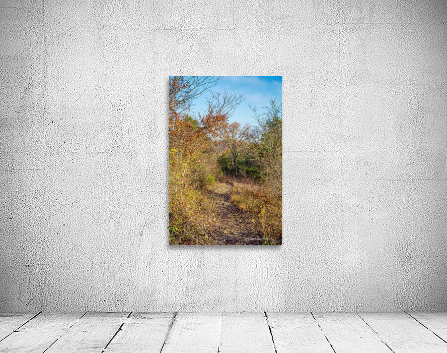 Fall Henning Trail Wall Preview