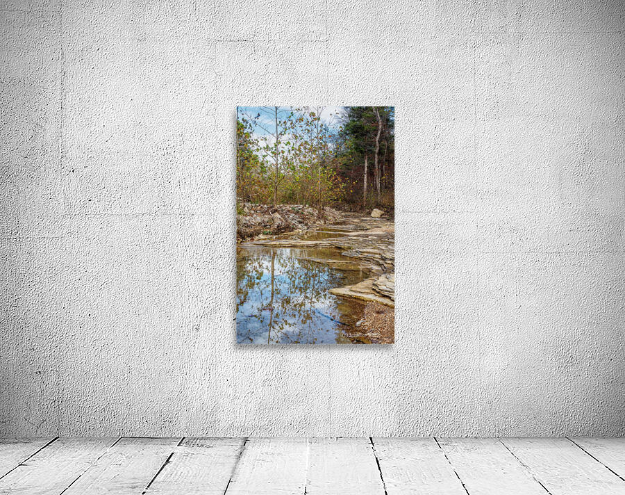 Roark Creek Fall Reflections Wall Preview