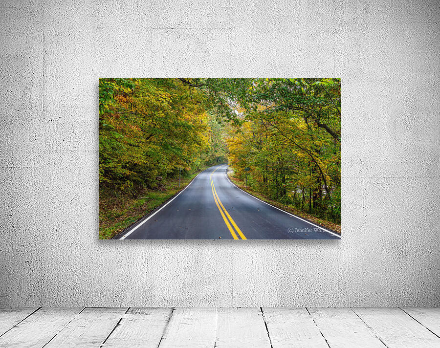 Fall Season Tree Lined Road Wall Preview