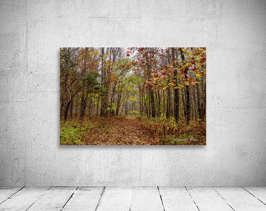 Autumn Bliss Wall Preview