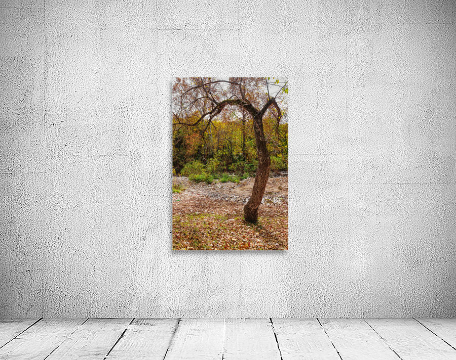 Nature Reaching Out Wall Preview