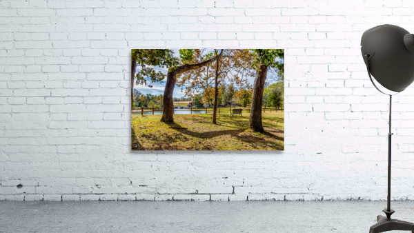 Dillard Mills Cool Tree Wall Preview