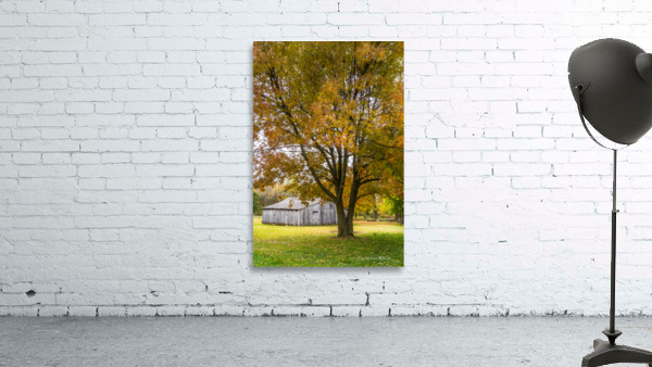 Autumn Tree With Barn Wall Preview