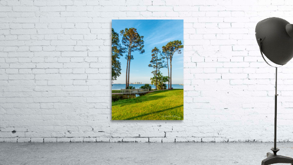 Navarre Beach Through Pine Trees Wall Preview