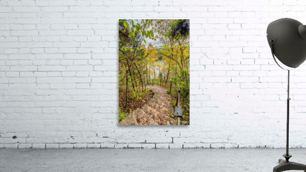 Steps Into Autumn Wall Preview