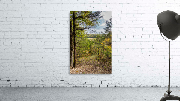 Lakeside Forest Wilderness Fall View Wall Preview