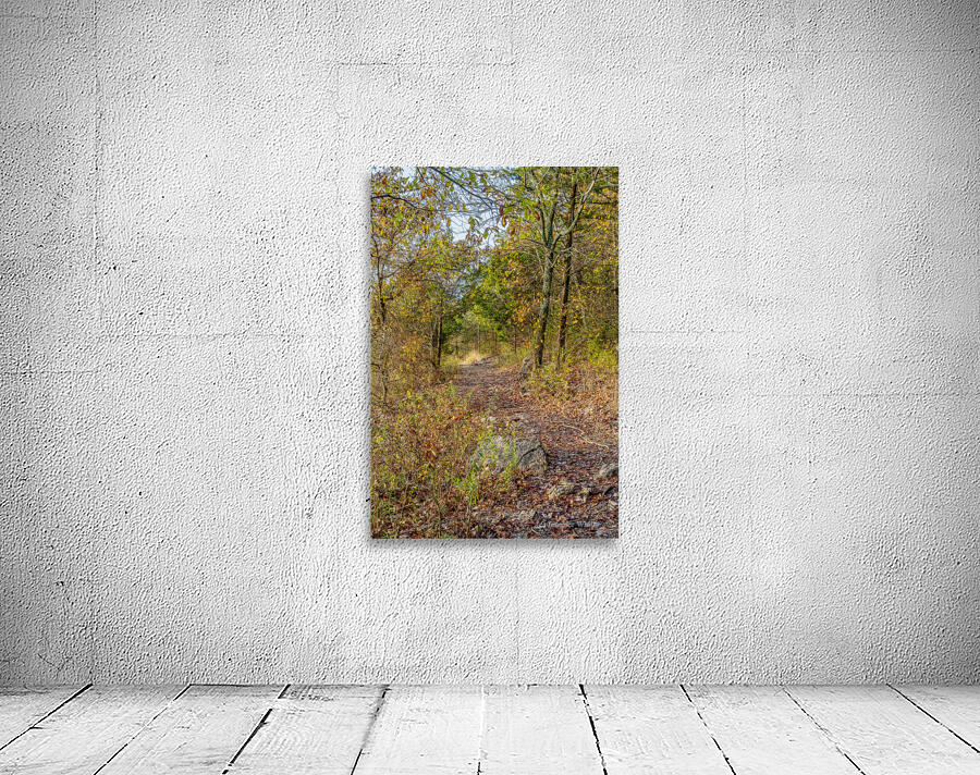 Hiking Path Through Henning Wall Preview