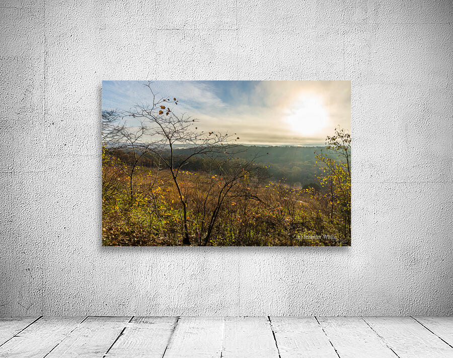 Henning Conservation Rustic Sunrise Wall Preview