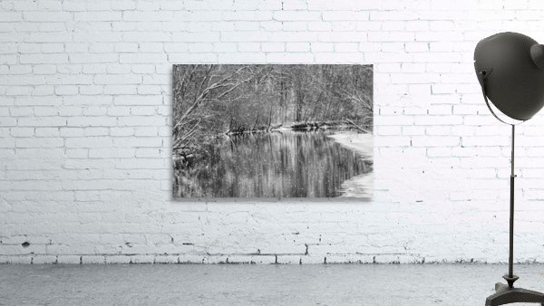 Finley River Snowfall Grayscale Wall Preview