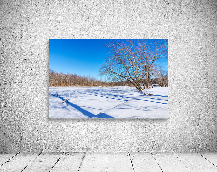 Frozen Lake Springfield Wall Preview