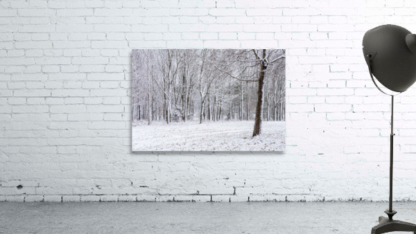 Snowy Forest Wall Preview
