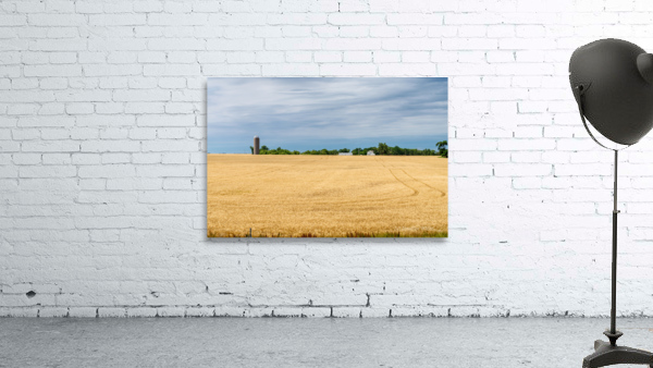 Kansas Wheat Farm Wall Preview